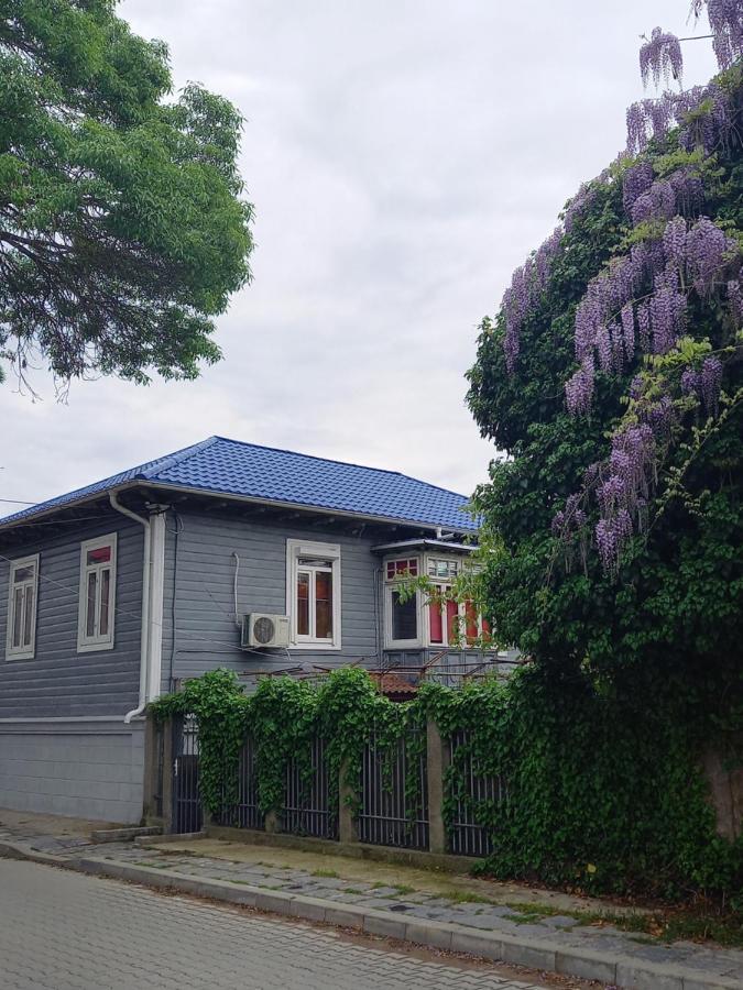 Casa De Vacanta Rodica Sulina Bagian luar foto
